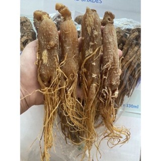 4 củ nhân sâm hồng sâm sấy dẻo Hàn Quốc