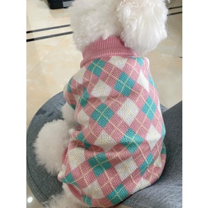 Áo len họa tiết quả trám màu tươi dành cho thú cưng