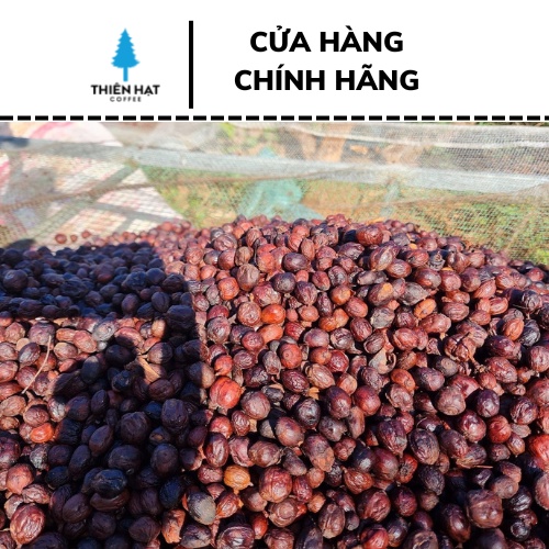 Cà phê nhân xanh ETHIOPIA SIDAMO G4-1kg