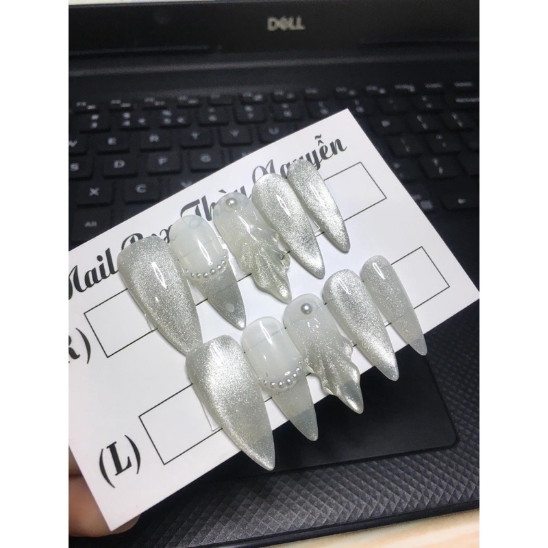 nailbox vỏ sò mắt mèo thiết kế