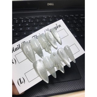Nailbox vỏ sò mắt mèo thiết kế