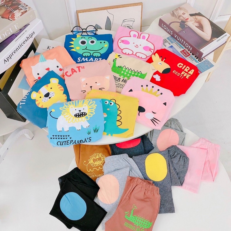 Bộ dài tay thu đông mỏng cho bé trai bé chất thun lạnh loại 1 nhiều màu sắc, hình in sắc nét size 8-20kg