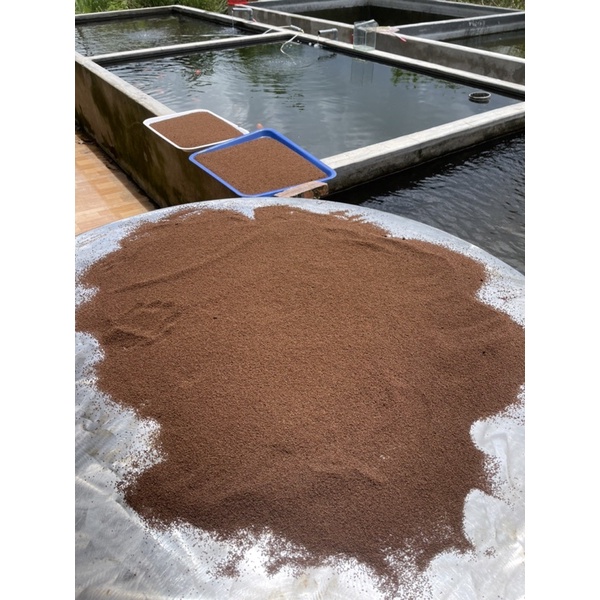 Cám Cá Vàng Củ Chi Goldfish