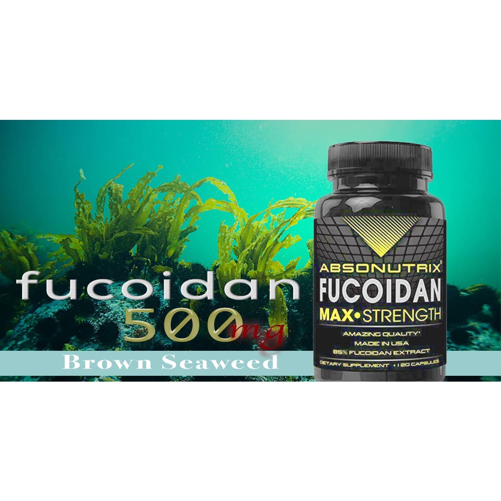 Hỗ trợ miễn dịch absonutrix fucoidan 500mg brown seaweed capsules 120 viên - ảnh sản phẩm 5