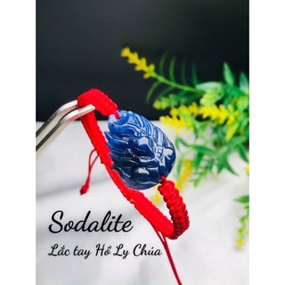 Hồ Ly xanh biển Sodalite