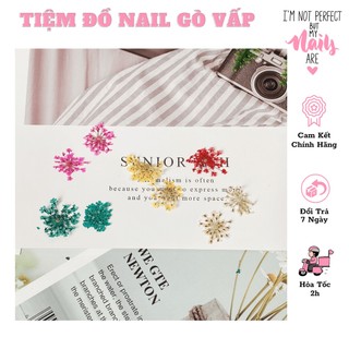 Hoa Khô Chùm Ẩn Gel