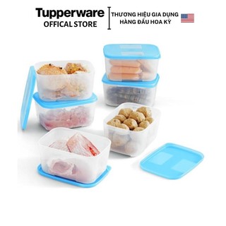  Hộp trữ đông Tupperware 650ml  01 hộp  - Hàng chính hãng - Bảo hành trọn đời - Nhựa nguyên sinh an toàn 