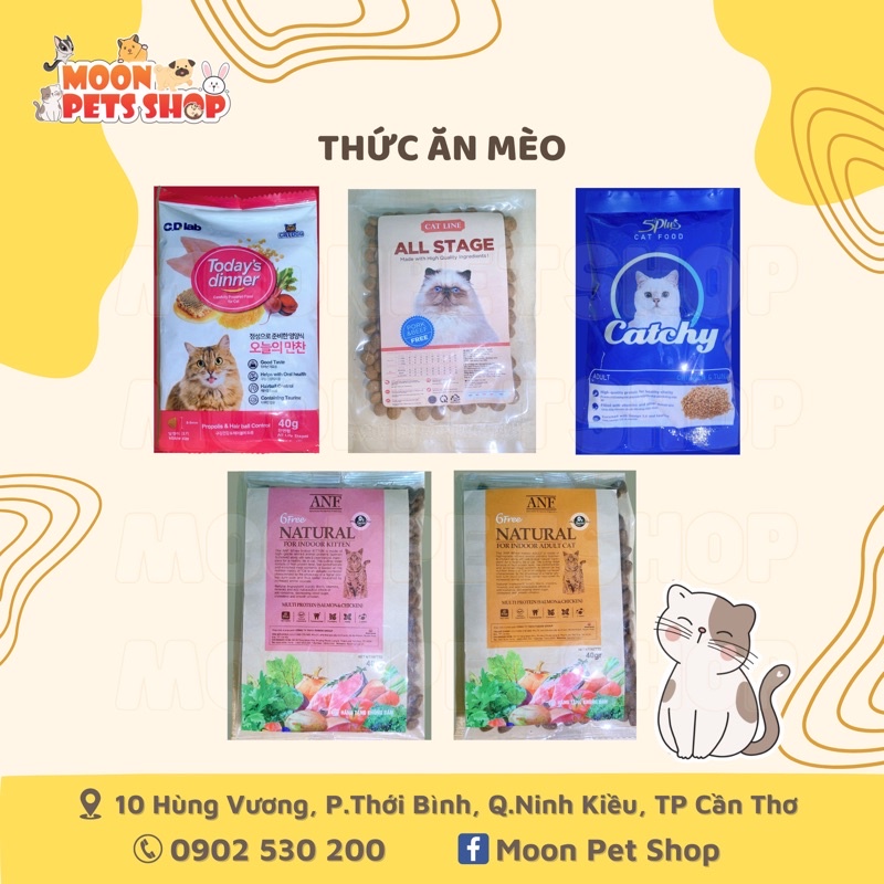 Hạt dùng thử cho Mèo