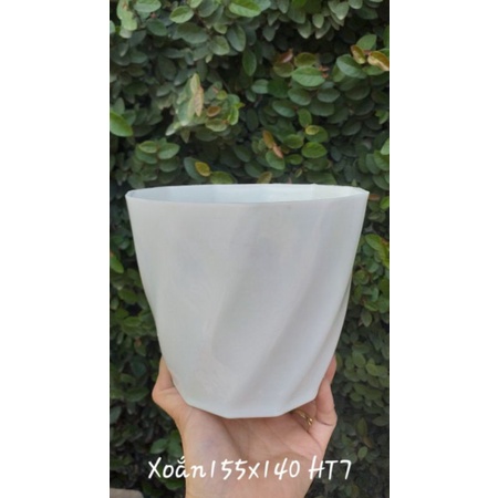 CHẬU TRỒNG XƯƠNG RỒNG, HOA CÂY CẢNH HÌNH XOẮN ỐC