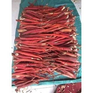 1kg sâm cau đỏ tây bắc 90k