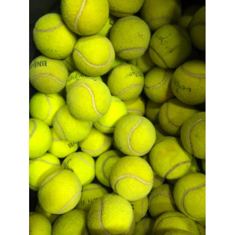 Bóng tennis dành cho trẻ em vui chơi và thú cưng