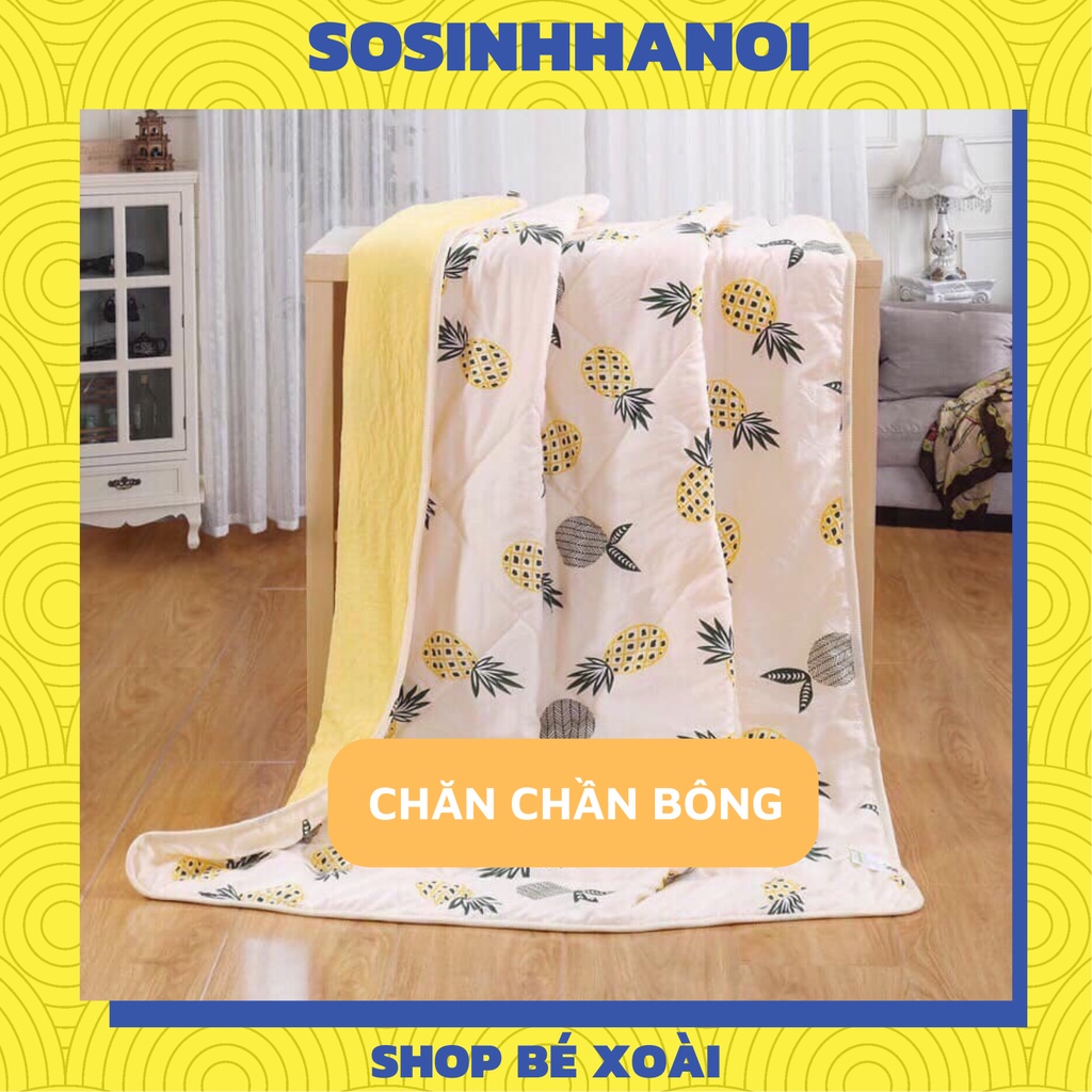Chăn cotton trần bông mỏng nhập khẩu/ Chăn bốn mùa cho bé yêu mang đi học - Sỉ