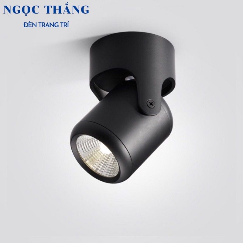 Đèn Led soi gương chiếu tranh gắn tường phòng ngủ phòng khách Led 7W PT008B Ngọc Thắng