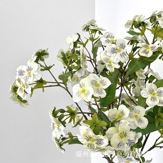 Hoa Păng Xê - Hoa Lụa Cao Cấp Decor Trang Trí