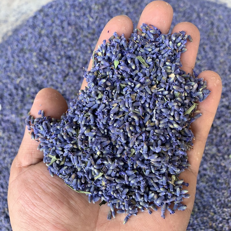 Túi thơm  hoa oải hương lavender khô để tủ quần áo ,treo xe ,khử mùi phòng tắm,nhà vệ sinh RIN