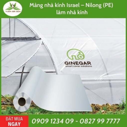 1Mét Màng Nilon nhà kính Israel khổ ngang 4m4 (Green City)