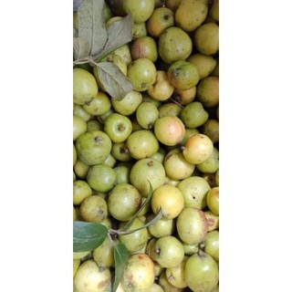 2kg táo mèo tươi