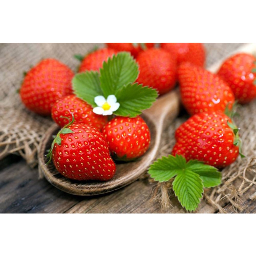 500gr Dâu tây sấy dẻo không đường, Dâu tây sấy nguyên vị chua ngọt không đường Bảo Quân