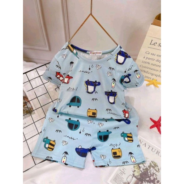 XẢ LỖ NGHỈ BÁN - Bộ cotton in hình 3D ngộ