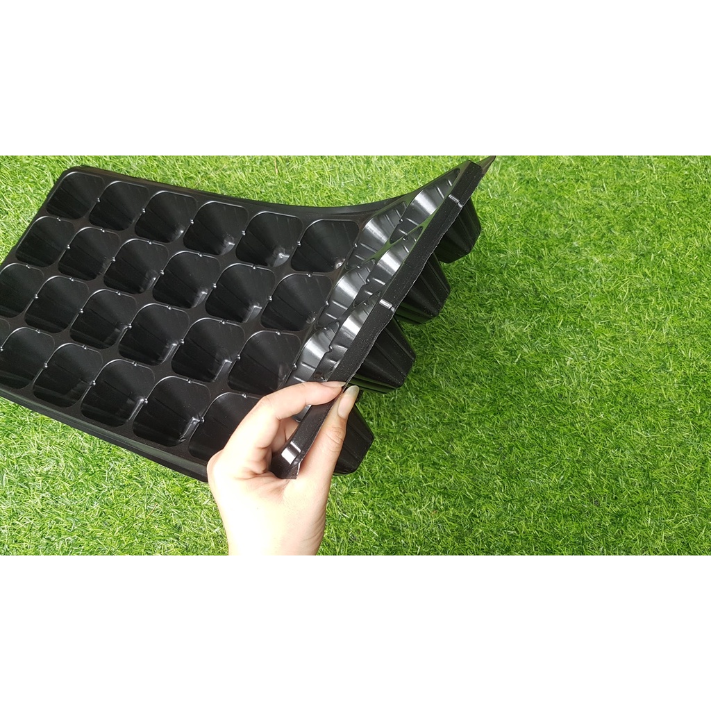 Khay mỏng ươm hạt 32 lỗ.