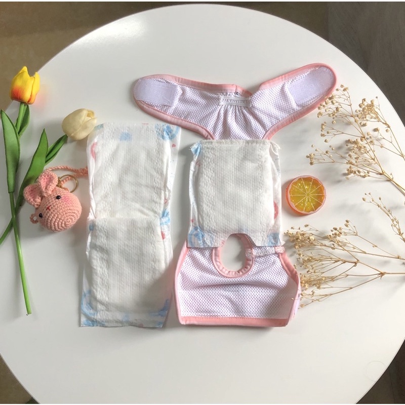 Quần sinh lý new-colors Titpet giành cho cún cái