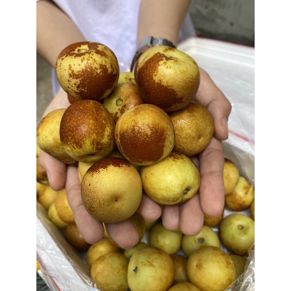 HỒNG TÁO - SIÊU GIÒN NGỌT