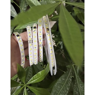 ĐÈN LED CHẠY ĐUỔI HIỆU ỨNG 10 MÉT - 24V