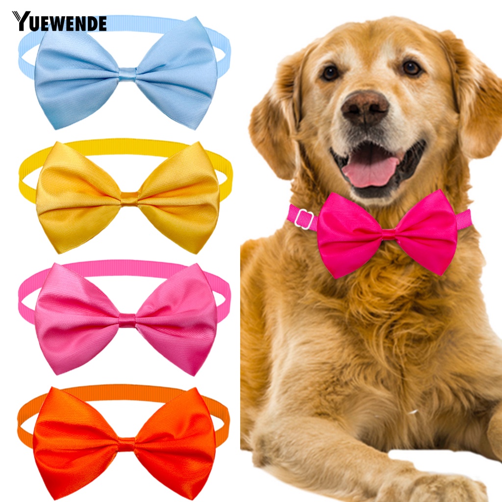 Vòng Cổ Tròn Siêu Mềm Cho Thú Cưng