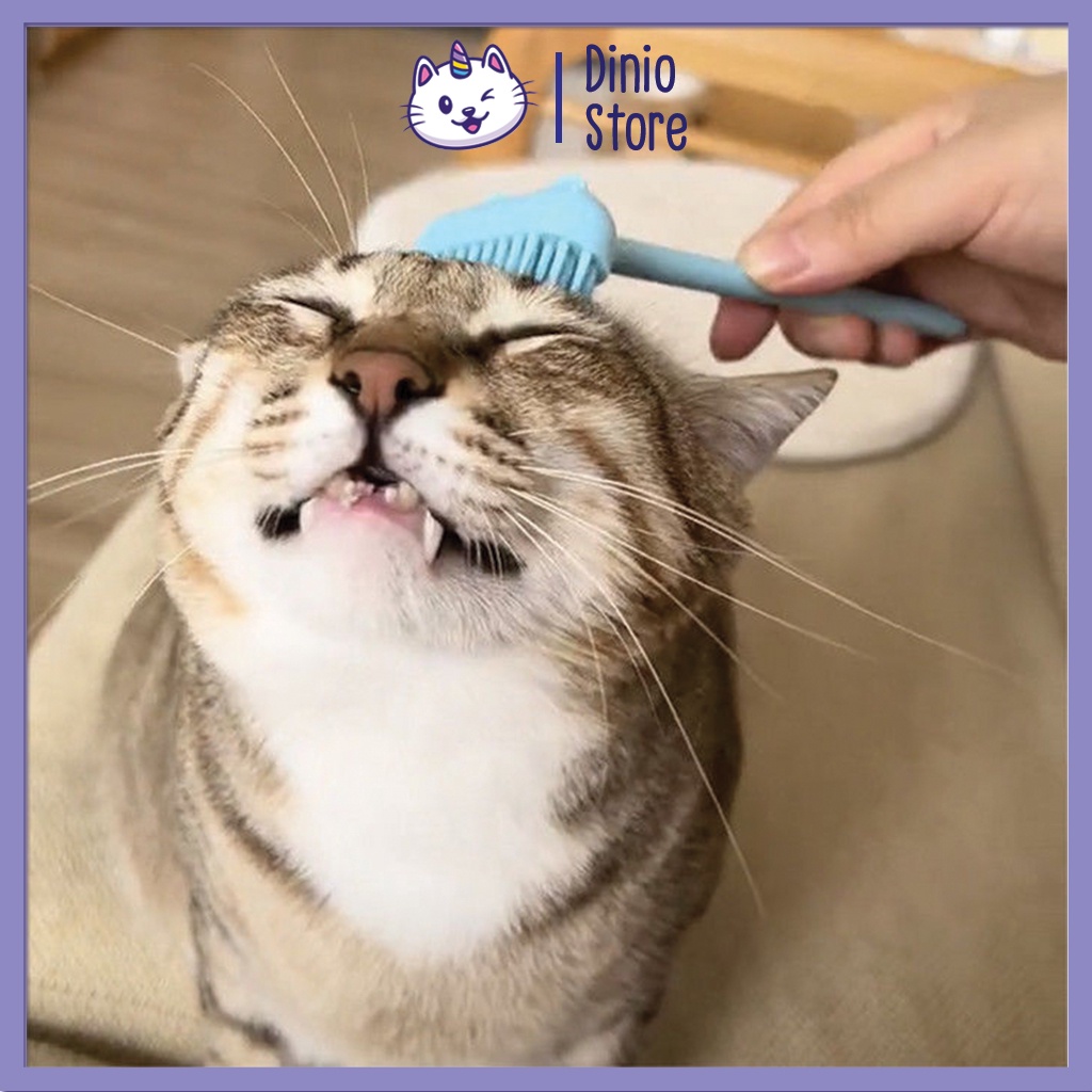 Cây gãi massage cho mèo giúp mèo thư giãn