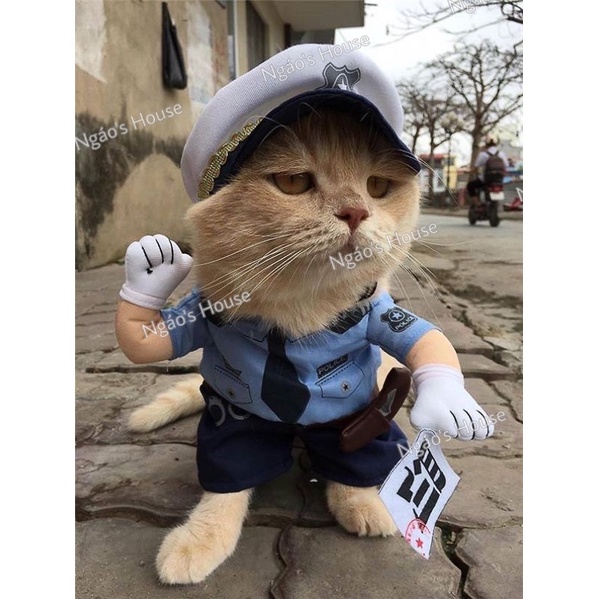 Quần áo cosplay dành cho chó mèo, thú cưng