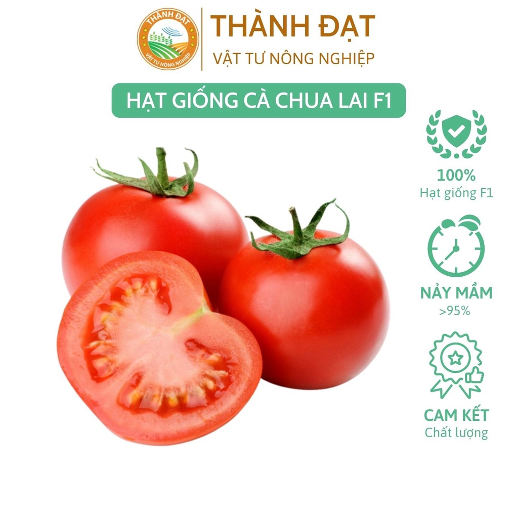 Hạt giống cà chua lai F1 năng suất cao - gói 0.1gr
