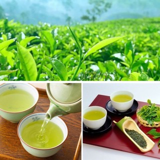Chè xanh, chè tím