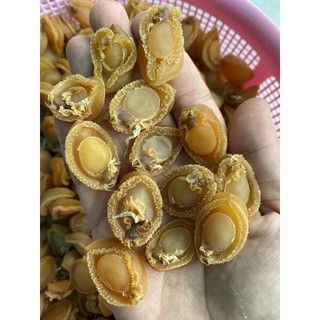 Bào ngư khô hk