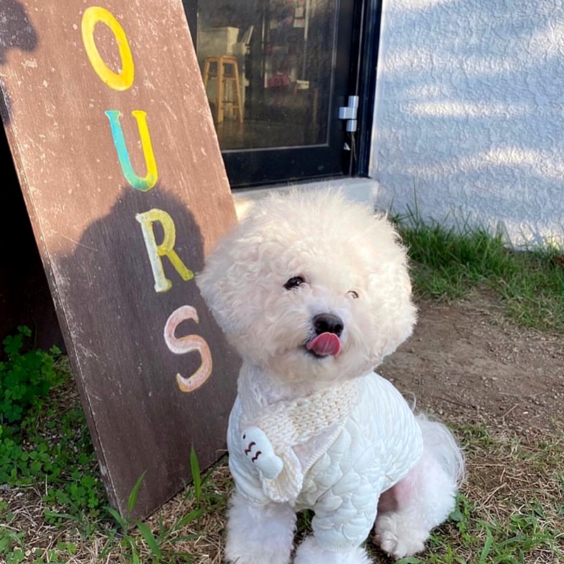 Áo Khoác Cotton Dày Ấm Áp Cho Thú Cưng Chó Mèo Poodle Pomeranian Schnauzer Yorkshire