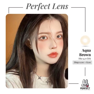 Lens Ảnh Mắt Thật, Aqua Brown Perfect Lens, dia 14.0