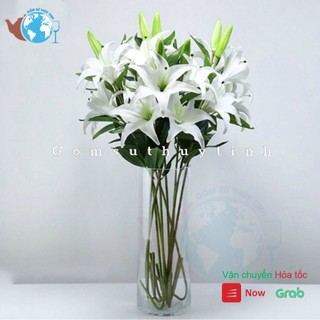 Bình bông/ Lọ hoa thủy tinh dáng trụ tròn 7x27cm