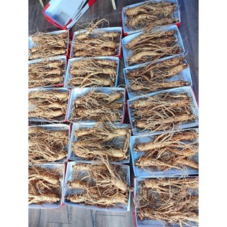 [SÂM CHUẨN HÀN] 500 Gram NHÂN SÂM HÀN QUỐC LOẠI THÂN DÀI