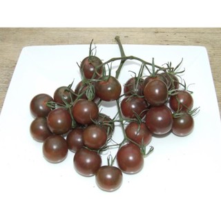 Hạt Giống Cà Chua Đen Cherry túi 30 hạt