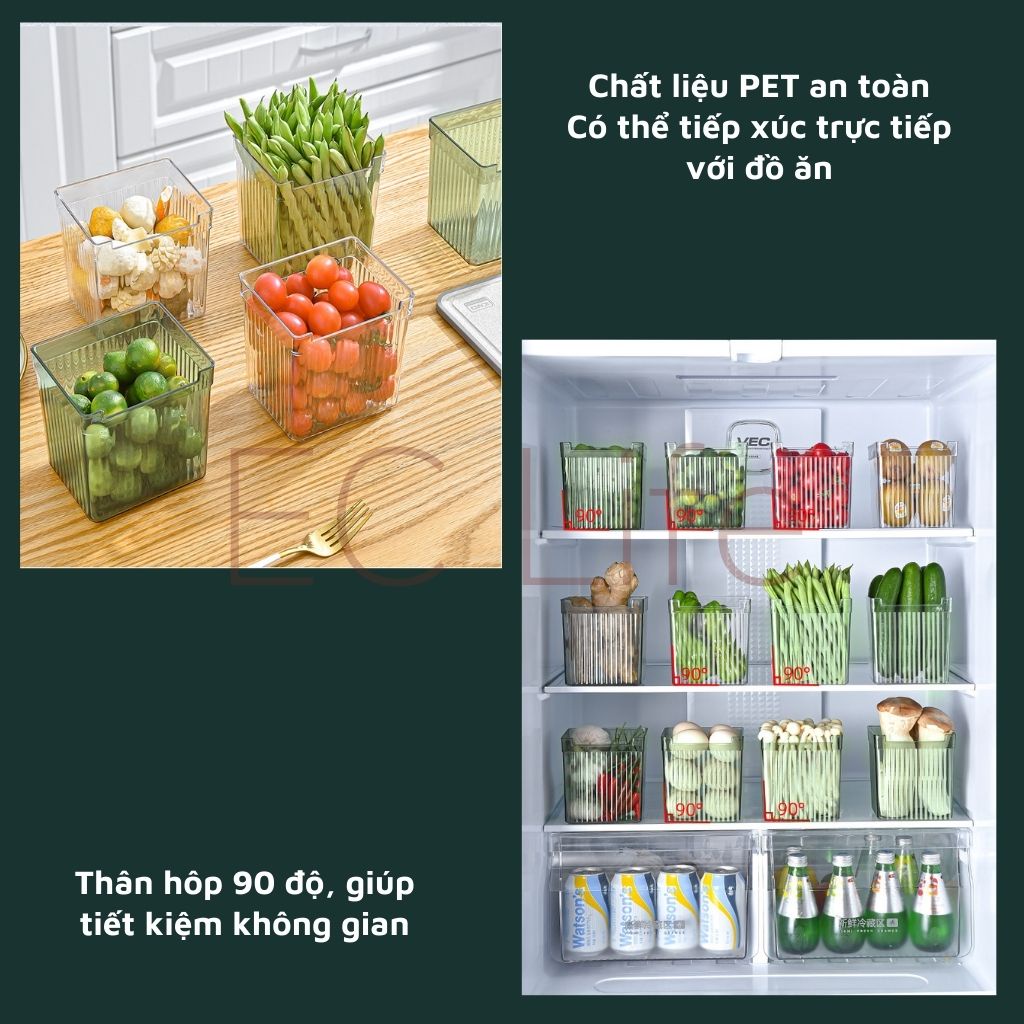 Hộp nhựa đựng thực phẩm rau củ đồ nhỏ tinh linh trong suốt dùng cho cửa kéo tủ lạnh EC Life 05A05