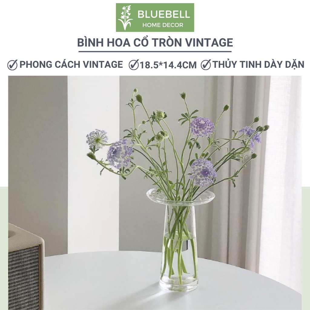 Bình Hoa Thủy Tinh Cổ Tròn Vintage, Lọ Hoa Có Cổ Miệng Rộng Cắm Bông BlueBell