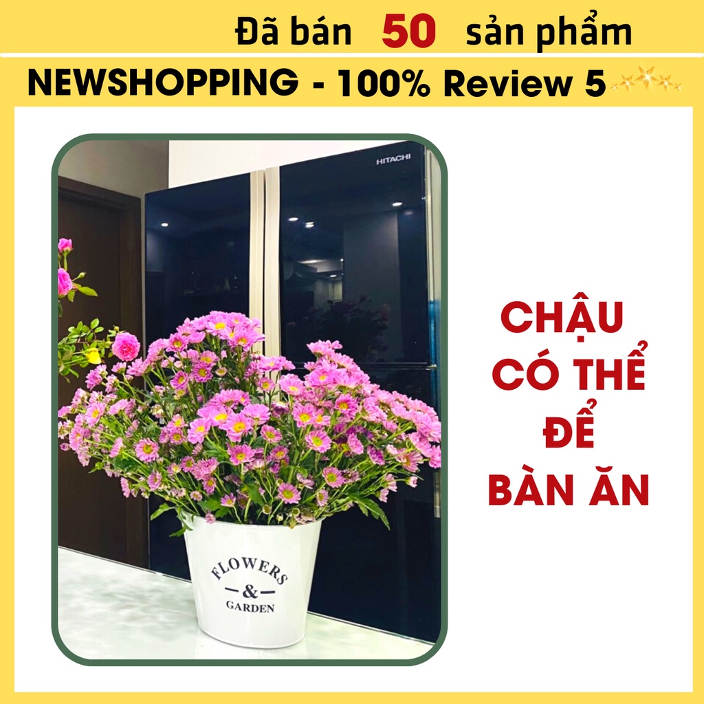 Chậu sắt trồng hoa, xô cắm hoa bằng thiếc decor phong cách Vintage