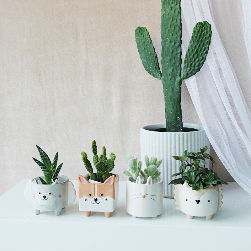 Chậu hoa bằng Gốm - hình thú ngộ nghĩnh đáng yêu - Đồ trang trí phòng / sân vườn/ bàn làm việc