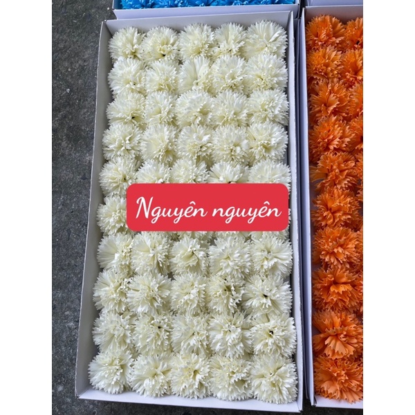 Cẩm chướng xù sáp hộp 50 bông