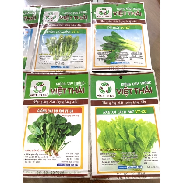 COMBO 10 GÓI HẠT GIỐNG RAU ĂN LÁ ĐỦ LOẠI  gieo trồng quanh năm