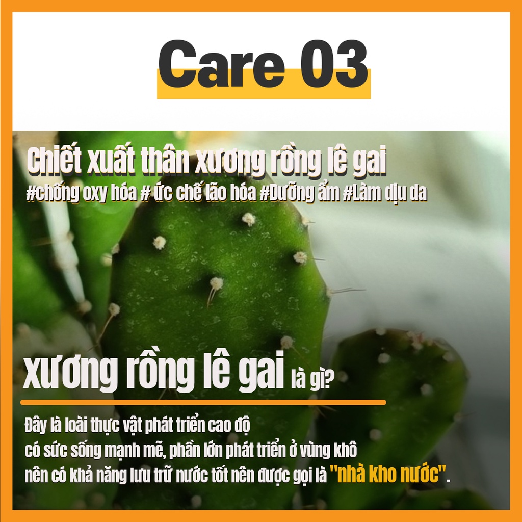 Kem dưỡng ẩm mặt RAVIEL Meadowfoam Seed Oil 7 Hyaluronic Acid 100ml/ Dermabiome CX & Catus chống lão hóa nếp nhăn