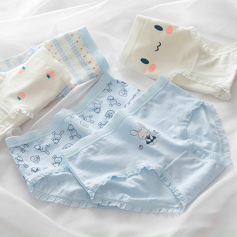 Set 5 Quần Lót Nữ DUDIA