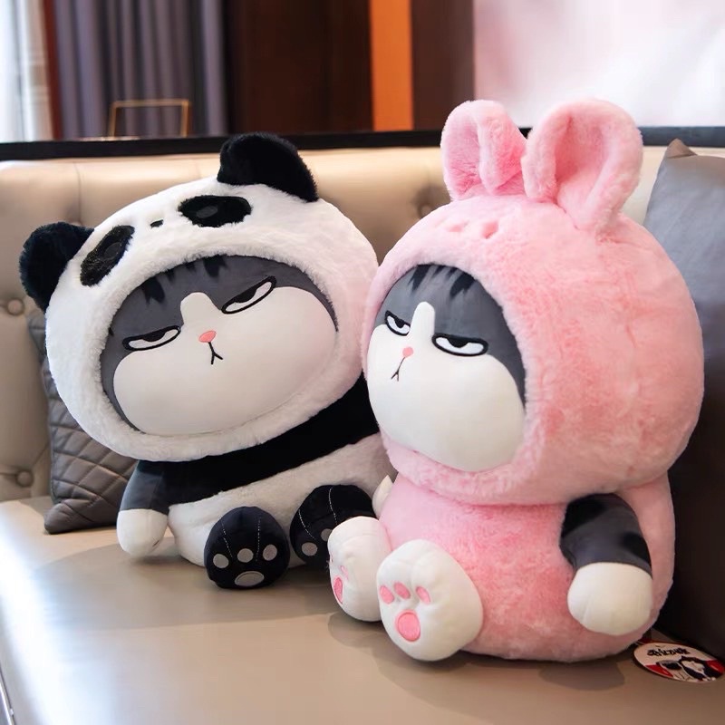 Gấu Bông mèo hoàng thượng cosplay siêu đáng yêu