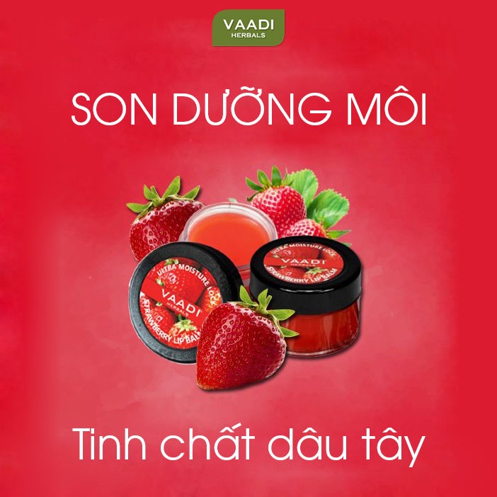 Son dưỡng môi dưỡng ẩm, giảm thâm, làm hồng môi tinh chất dâu tây Vaadi Herbals Strawberry Lip Balm 10g