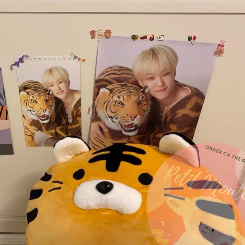 HỔ BÔNG HỔ BÉO CHEAPMOMENT HOSHI SEVENTEEN