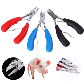 Kìm bấm nanh heo có bọc cao su cầm tay dùng cho lợn heo chuật thỏ